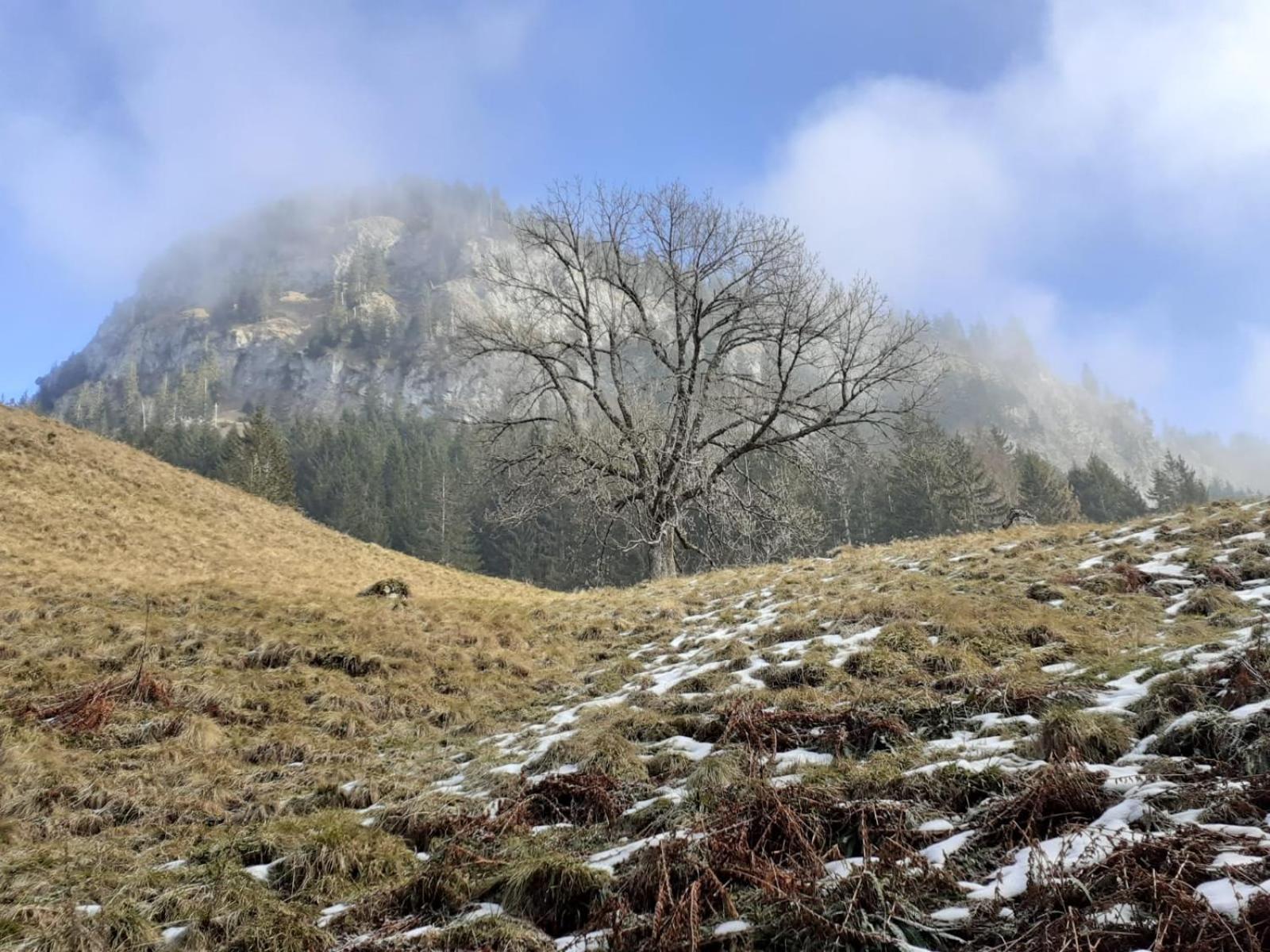 Berggasthof Sonne Allgaeu Sonthofen Luaran gambar